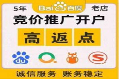 搜索引擎竞价推广：某行业领先企业的成功之路